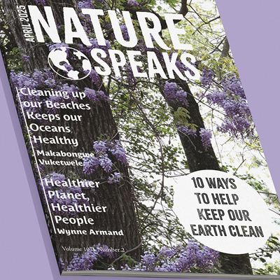 Magazine